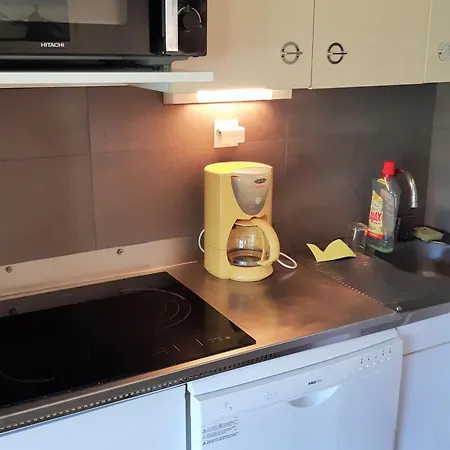Pour 6 Aux Pieds Des Pistes Avec Animaux Acceptés - Fr-1-516-7 Appartement Les Deux Alpes