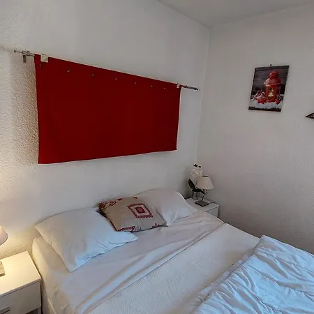 Appartement Pour 6 Aux Pieds Des Pistes Avec Animaux Acceptés - Fr-1-516-7 *