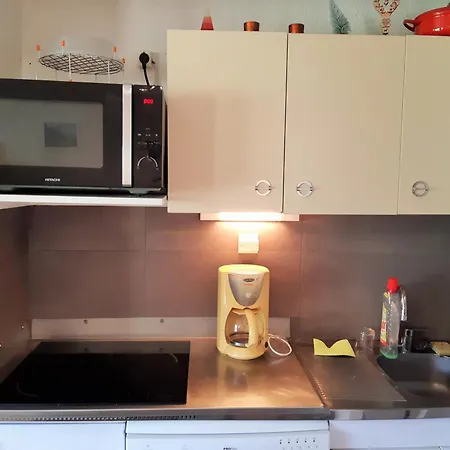 Pour 6 Aux Pieds Des Pistes Avec Animaux Acceptés - Fr-1-516-7 *