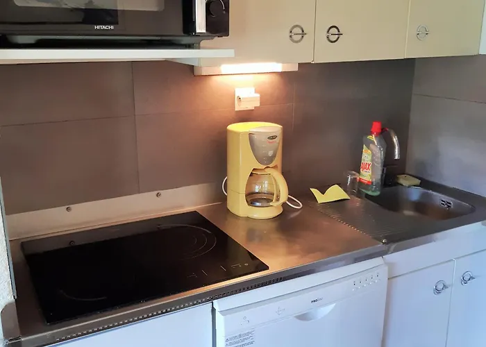 Pour 6 Aux Pieds Des Pistes Avec Animaux Acceptes - Fr-1-516-7 Апартаменты Ле дез Альп