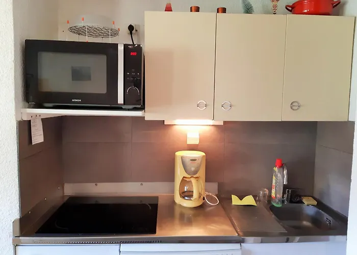 Pour 6 Aux Pieds Des Pistes Avec Animaux Acceptes - Fr-1-516-7 *